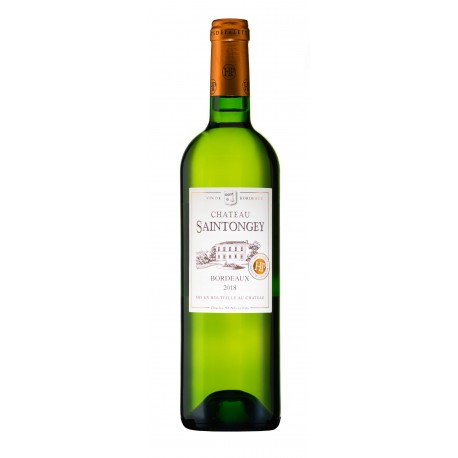 bílé víno CHATEAU SAINTONGEY BLANC 201/ (2019) A.O.C.