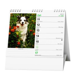 Stolní kalendář 2023 IDEÁL - Pes - věrný přítel /s psími jmény