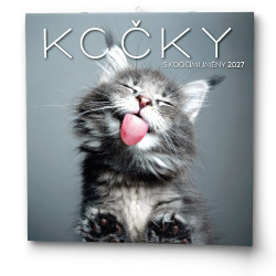 Nástěnný kalendář 2027 Kočky                                     