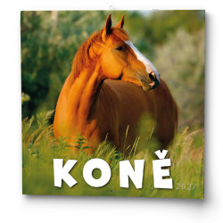 Nástěnný kalendář 2027 Koně                                      