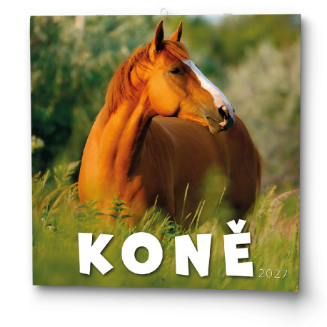 Nástěnný kalendář 2027 Koně                                      