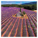 Nástěnný kalendář 2027 Provence                               