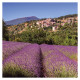 Nástěnný kalendář 2027 Provence                               