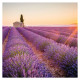 Nástěnný kalendář 2027 Provence                               
