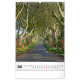 Nástěnný kalendář 2027 Stromy