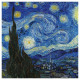 Nástěnný poznámkový kalendář 2027 Vincent van Gogh