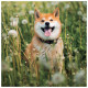 Nástěnný poznámkový kalendář 2027 Happy Doge