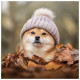 Nástěnný poznámkový kalendář 2027 Happy Doge