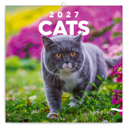 Nástěnný poznámkový kalendář 2027 Kočky