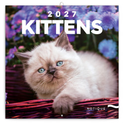 Nástěnný poznámkový kalendář 2027 Koťata