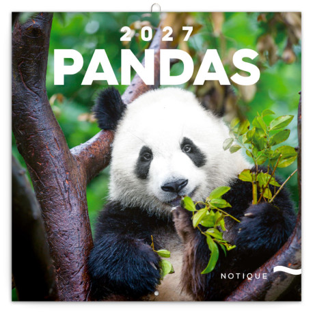 Nástěnný poznámkový kalendář 2027 Pandy 