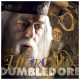 Nástěnný poznámkový kalendář 2027 Harry Potter