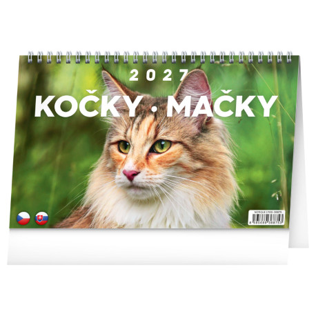 Stolní kalendář 2027 Kočky - Mačky CZ/SK