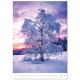 Nástěnný kalendář 2027 - Trees/Bäume/Stromy