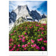 Nástěnný kalendář 2027 - Mountains/Berge/Hory