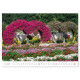 Nástěnný kalendář 2027 - Gardens