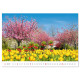 Nástěnný kalendář 2027 - Gardens