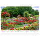 Nástěnný kalendář 2027 - Gardens