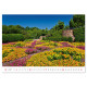 Nástěnný kalendář 2027 - Gardens