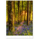 Nástěnný kalendář 2027 - Nature Emotions