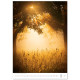 Nástěnný kalendář 2027 - Nature Emotions