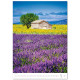 Nástěnný kalendář 2027 - Provence