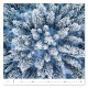 Nástěnný kalendář 2027 - Forest/Wald/Les
