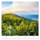 Nástěnný kalendář 2027 - Forest/Wald/Les