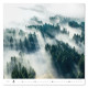 Nástěnný kalendář 2027 - Forest/Wald/Les