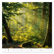 Nástěnný kalendář 2027 - Forest/Wald/Les