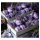 Nástěnný kalendář 2027 Kravata - Provence