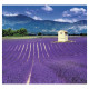 Nástěnný kalendář 2027 Kravata - Provence