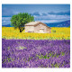 Nástěnný kalendář 2027 Kravata - Provence