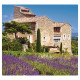 Nástěnný kalendář 2027 Kravata - Provence