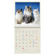 Nástěnný kalendář 2027 - Cats