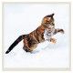 Nástěnný kalendář 2027 - Cats