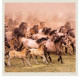Nástěnný kalendář 2027 - Horses