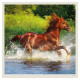 Nástěnný kalendář 2027 - Horses