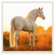 Nástěnný kalendář 2027 - Horses