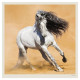 Nástěnný kalendář 2027 - Horses