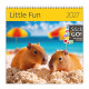Nástěnný kalendář 2027 - Little Fun