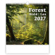 Nástěnný kalendář 2027 - Forest/Wald/Les