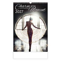Nástěnný kalendář 2027 - Charm of the Moment