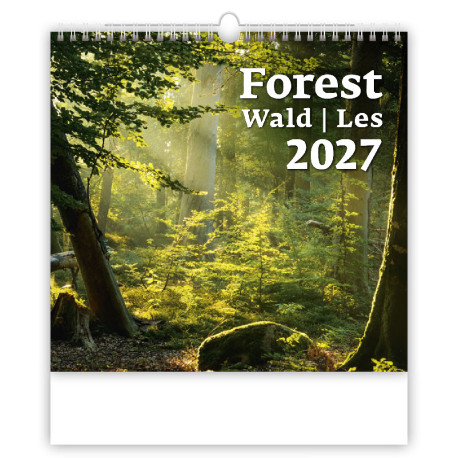 Nástěnný kalendář 2027 - Forest/Wald/Les