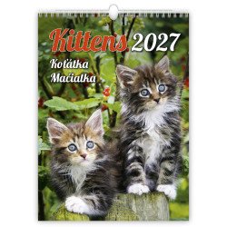 Nástěnný kalendář 2027 - Kittens/Katzenbabys/Koťátka/Mačičky