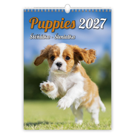 Nástěnný kalendář 2027 - Puppies/Welpen/Štěňátka/Šteniatka