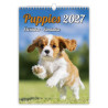 Nástěnný kalendář 2027 - Puppies/Welpen/Štěňátka/Šteniatka