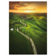Nástěnný kalendář 2027 Beautiful world 