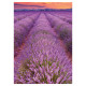 Nástěnný kalendář 2027 Provence                         