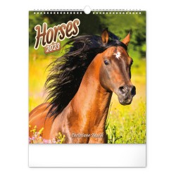 Nástěnný kalendář 2023 Koně